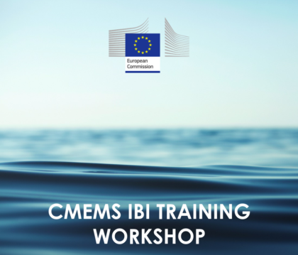 Iberia-Biscay-Ireland Copernicus Marine Service Training Workshop