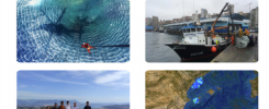 Update Newsletter of the European HF Radar community
