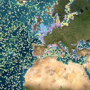 New In Situ Data streams Q4 2025