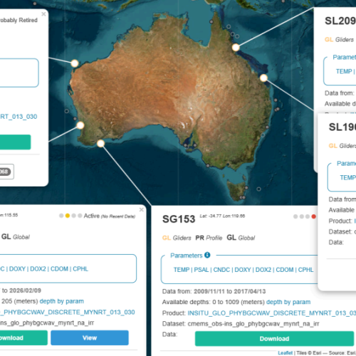 Geographical distribution of a subset of Australian gliders displayed on the In Situ
TAC Monitoring Dashboard. (https://marineinsitu.eu/dashboard/)