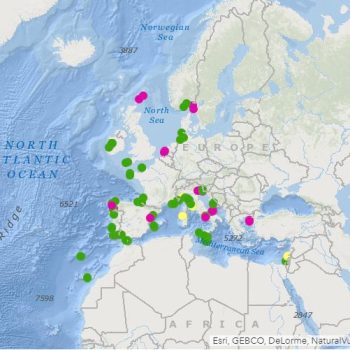 The more,the merrier!: EU HFR node, In Situ TAC and EMODnet joint efforts towards European HF Radar integration