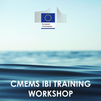 Save the date!: In Situ TAC training in Lisbon, Portugal next May 14th-15th