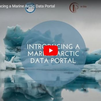 In Situ TAC for the Arctic region: Introducing a Marine Arctic Data Portal