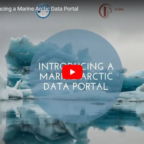 In Situ TAC for the Arctic region: Introducing a Marine Arctic Data Portal